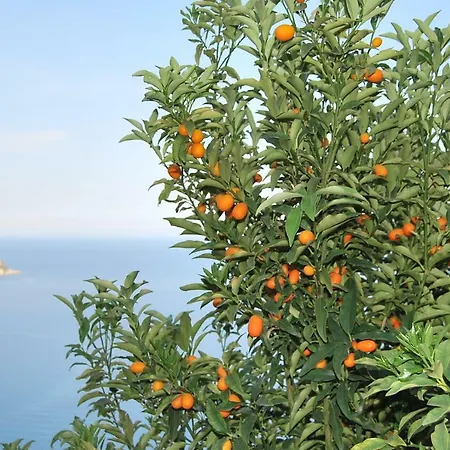 Mare E Monti * Bordighera