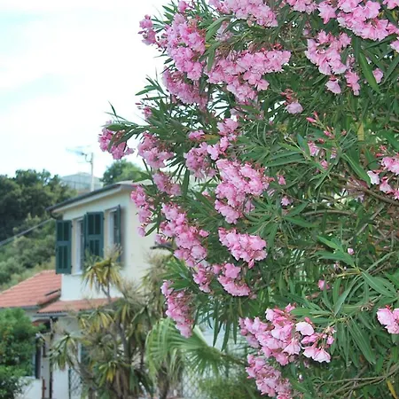 Vendégház Mare E Monti Bordighera